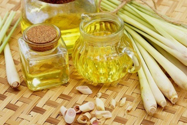 Cách chiết xuất timh dầu từ sả