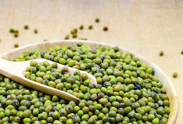 Cách chọn lựa đậu xanh làm sữa