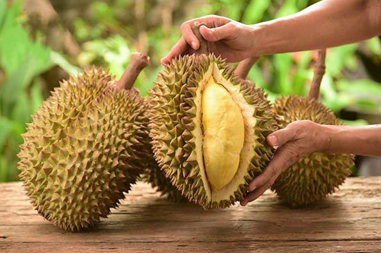 Cách chọn mua sầu riêng tươi ngon