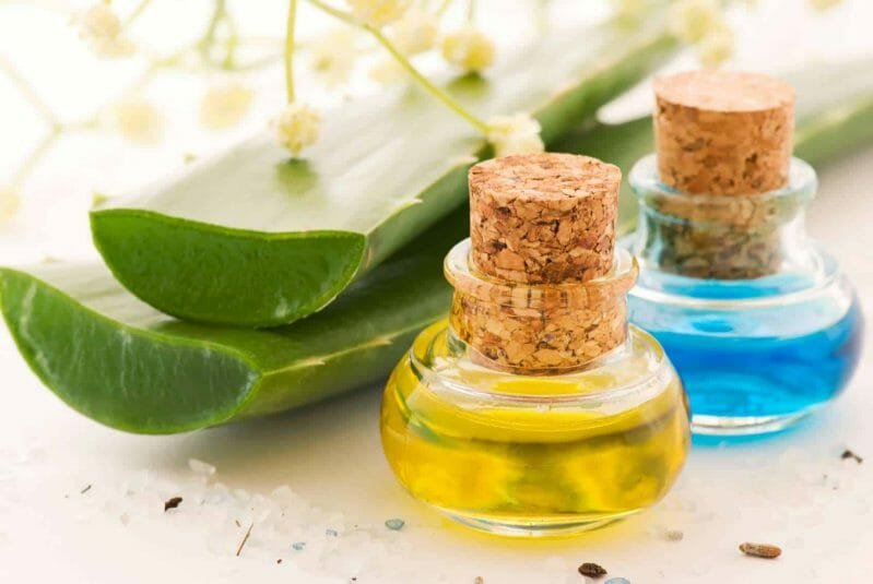  cách dưỡng tóc mềm mượt bằng nha đam
