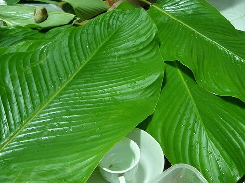 cach-lam-banh-chung-com