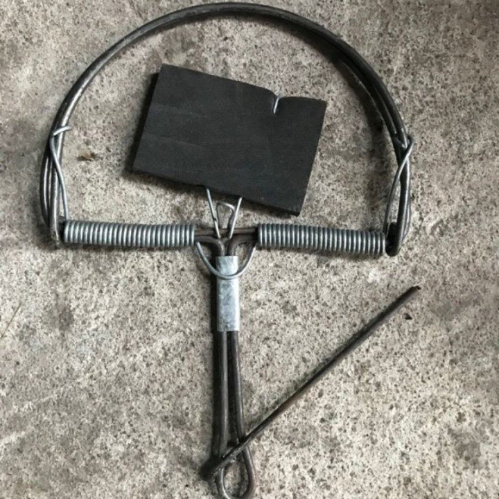 cách làm bẫy chuột hình bán nguyệt