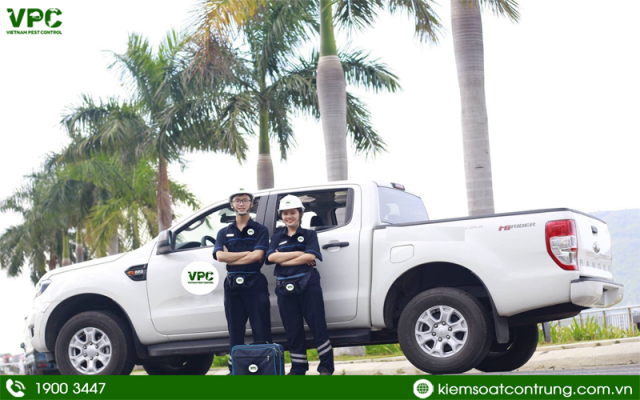 cách để diệt thằn lằn