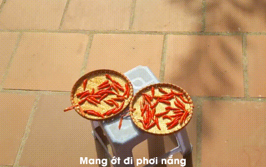 Đem ớt đi phơi nắng 1-2 ngày cho đến khi ớt khô hoàn toàn, dùng tay bóp nhẹ ớt sẽ vỡ vụn ra. Ngoài ra các bạn cũng có thể cho ớt lên chảo để rang nhằm tiết kiệm thời gian hơn. Đem ớt đi phơi nắng 1-2 ngày cho đến khi ớt khô hoàn toàn, dùng tay bóp nhẹ ớt sẽ vỡ vụn ra. Ngoài ra các bạn cũng có thể cho ớt lên chảo để rang nhằm tiết kiệm thời gian hơn.