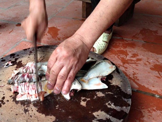 Cách làm chả cá mòi thơm đậm đà hết veo nồi cơm 3 Cách làm chả cá mòi