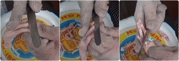 Rút xương chân vịt 