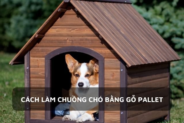 Chú chó đang nằm trong chuồng gỗ pallet