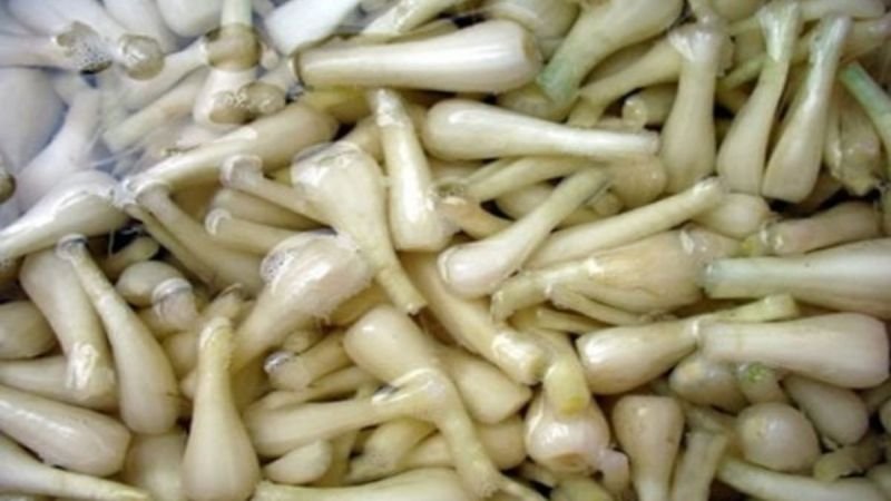 Khử mùi hăng củ kiệu bằng nước muối loãng
