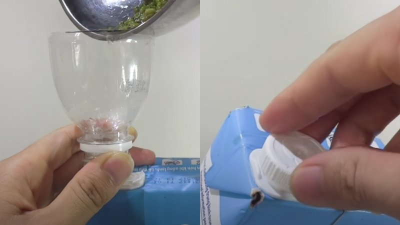 Bước 3: Cho đậu vào hộp sữa Bước 3: Cho đậu vào hộp sữa