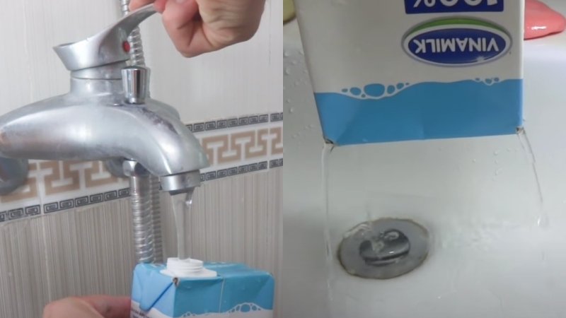 Bước 4: Tưới nước mỗi ngày Bước 4: Tưới nước mỗi ngày