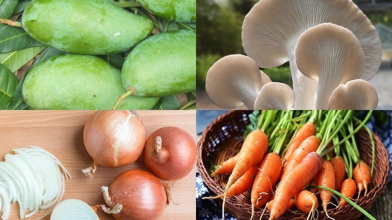 cách làm gỏi xoài chay