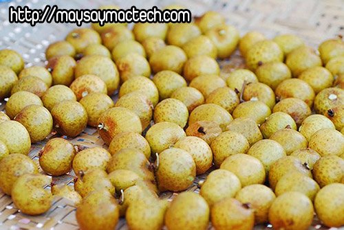 Cách làm long nhãn nhục tại nhà bằng phương pháp phơi khô nguyên quả