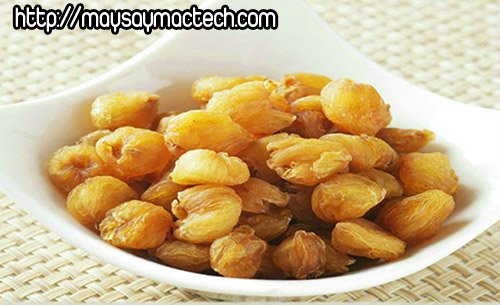 Nhãn nhục và long nhãn khác nhau ở đâu