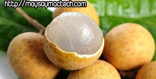 Cách làm long nhãn nhục ở nhà bằng cách phơi khô nguyên quả