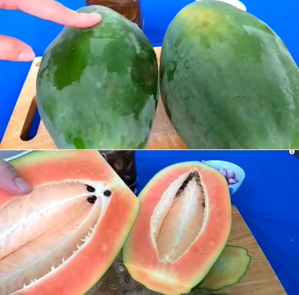 Cách làm mắm cá linh trộn đu đủ