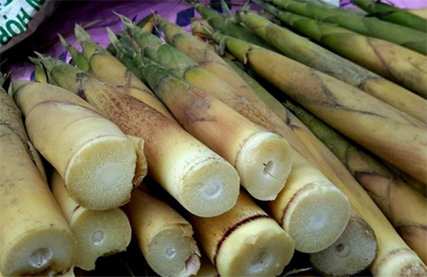 Măng tươi - cách làm măng ớt ngon