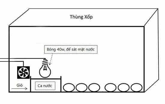 Cách làm máy ấp trứng tự chế