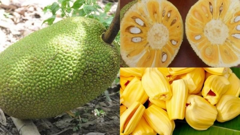 Sơ chế mít thành những miếng vừa ăn.