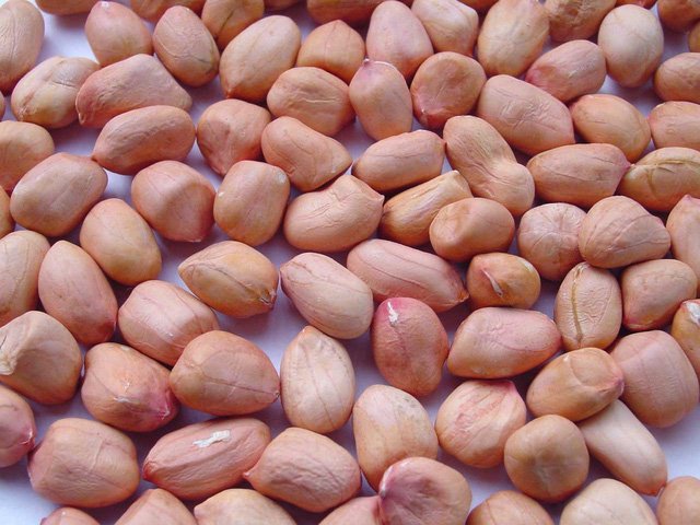 Chọn mua loại lạc săn, chắc như vậy lạc sẽ ngon, giòn lâu hơn. Lạc đỏ thường chắc hơn lạc trắng.