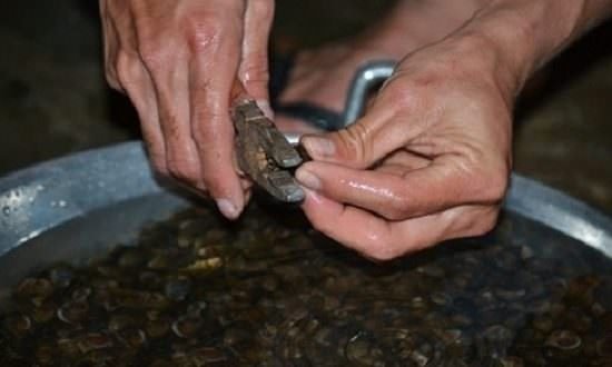 Chỉ bạn cách làm ốc hút xào sả ớt ngon đến độ khó quên 3 Chỉ bạn cách làm ốc hút xào sả ớt ngon đến độ khó quên 3