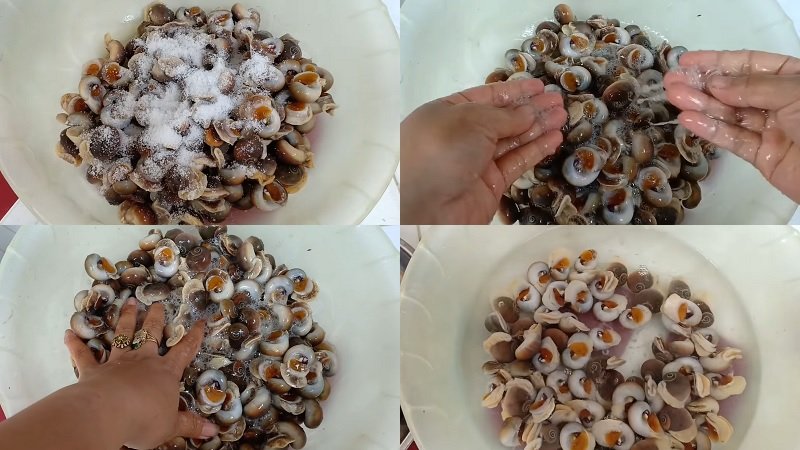 Rửa ốc mỡ nhiều lần sau đó ngâm ốc khoảng 1-2 tiếng trong nước muối ớt