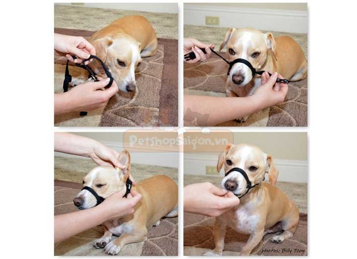 Cách làm rọ mõm chó