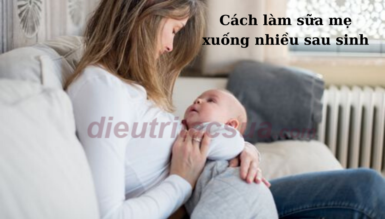 Cách làm sữa mẹ xuống nhiều sau sinh 