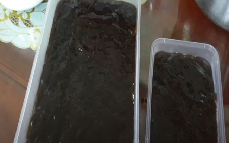 Thạch sương sáo đen mát lạnh