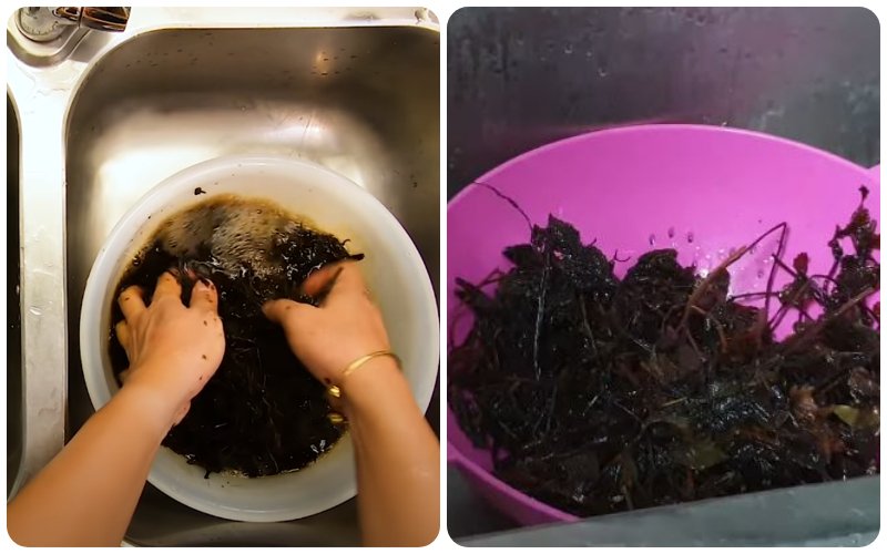 Rửa sạch lá sương sáo và vớt ra để cho ráo
