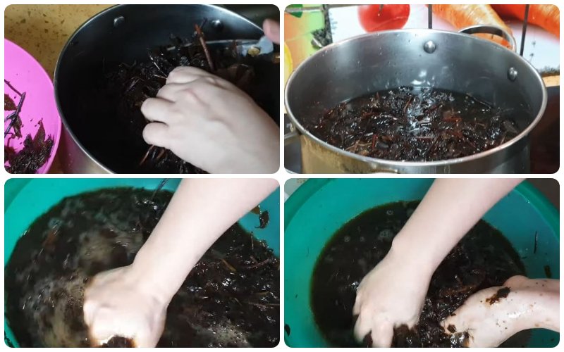 Cắt nhỏ, sau đó đem đun nóng 2 tiếng để nguội và đem vò nát lá sương sáo
