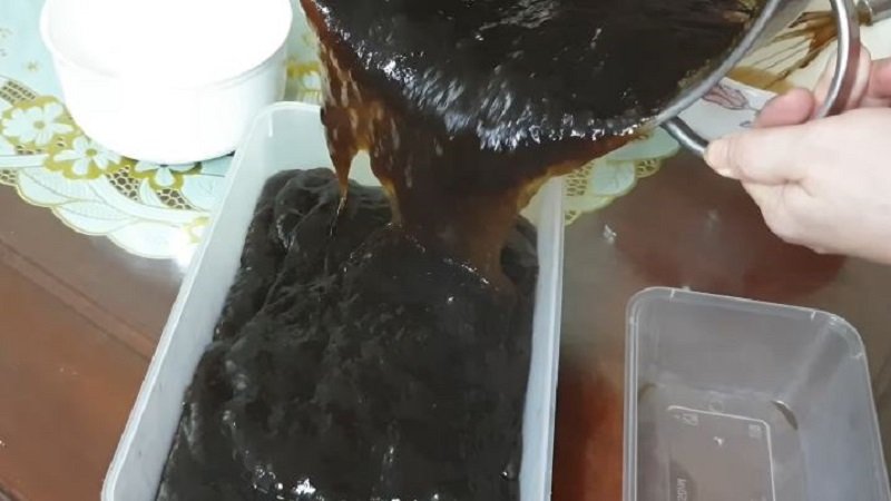Sau đó bạn đổ hỗn hợp ra khuôn và cho vào tủ lạnh ngăn mát