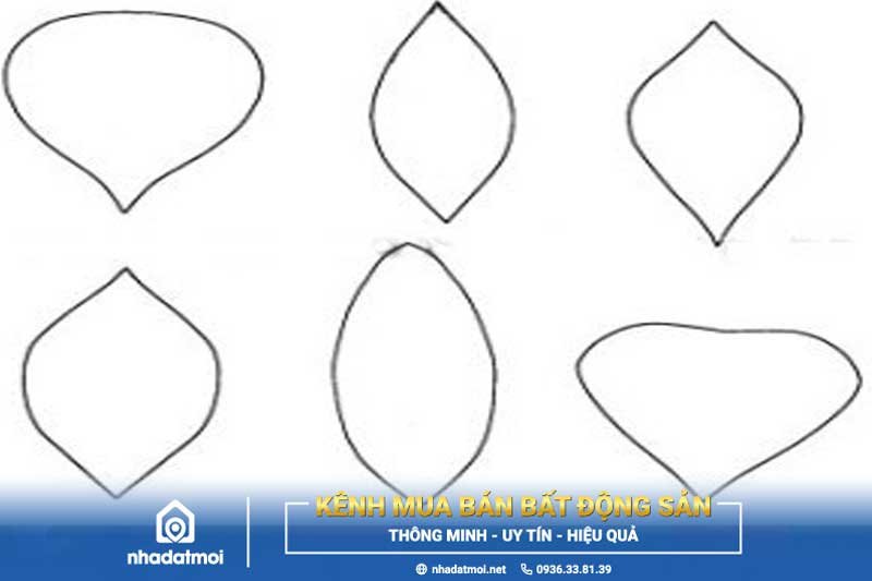 Các hình mẫu cánh hoa