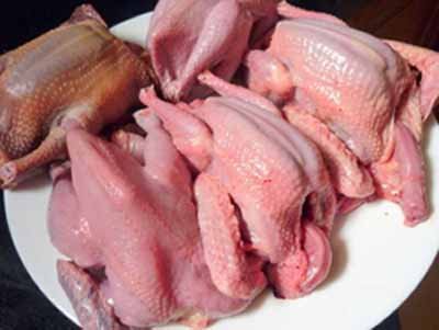 Cách làm thịt chim bồ câu nấu cháo chuẩn nhất, không bị tanh 1 cách làm thịt chim bồ câu nấu cháo
