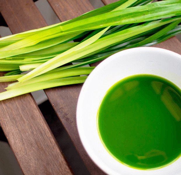Cách làm thơm nhà vệ sinh bằng lá dứa Cách làm thơm nhà vệ sinh bằng lá dứa