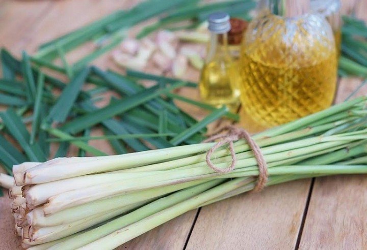 Cách làm thơm nhà vệ sinh bằng sả Cách làm thơm nhà vệ sinh bằng sả