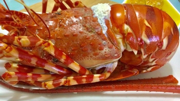 Tôm hùm là hải sản giàu dinh dưỡng tốt cho sức khỏe