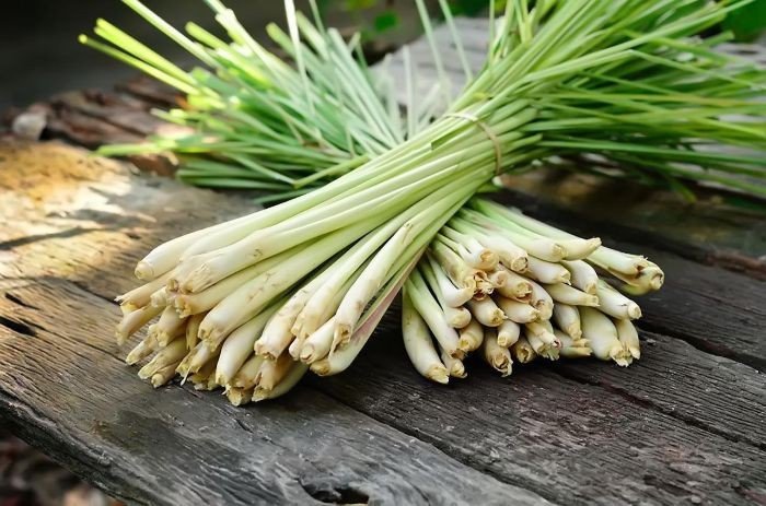 Sả là nguyên liệu làm món tôm hùm hấp sả