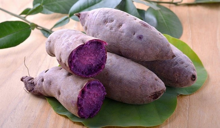 Bạn nên chọn củ khoai lang tím không bị nứt, vỏ ngoài lành lặn