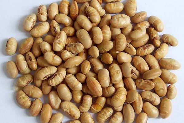 Rang chín rồi vỡ đôi hạt đậu tương Rang chín rồi vỡ đôi hạt đậu tương - tương bần