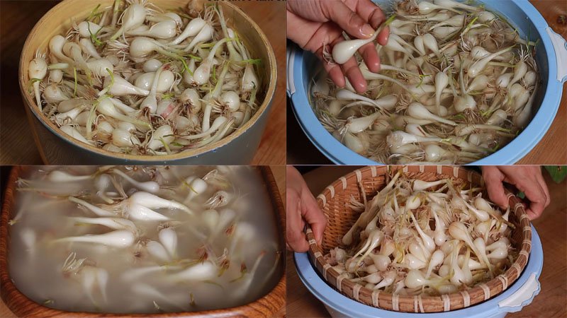 Sơ chế củ kiệu tươi
