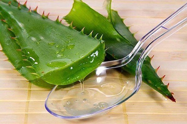 cách nấu nha đam đường phèn không bị nhớt