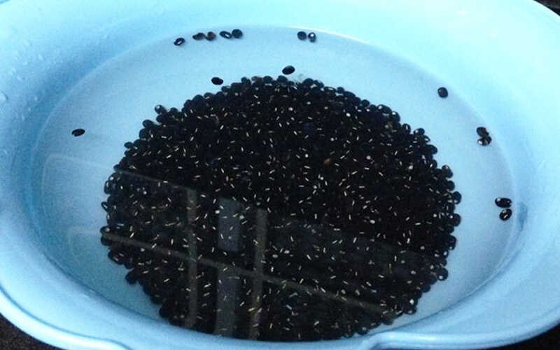 Sơ chế nguyên liệu Sơ chế nguyên liệu
