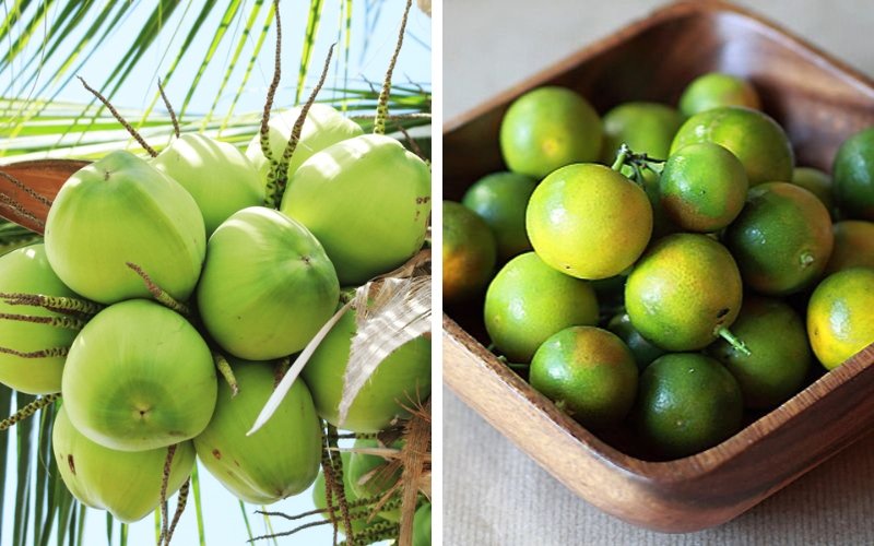 Nguyên liệu làm dừa tắc