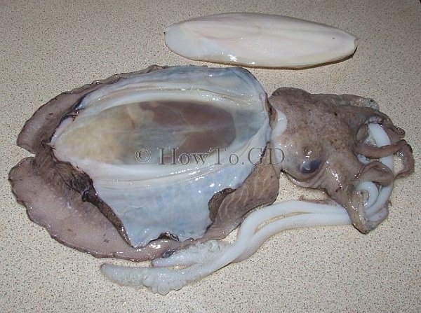 cách sơ chế mực nang