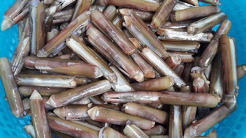 Cách sơ chế ốc móng tay 