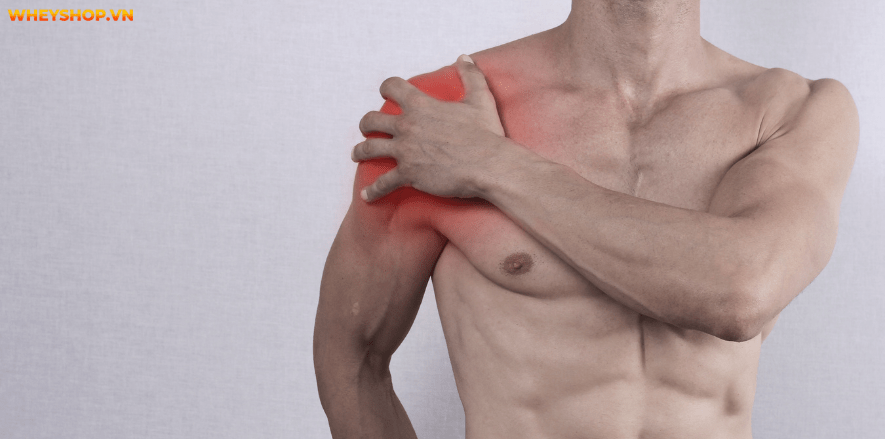 Cơ vai là một nhóm cơ lớn hàng đầu, thể hiện sự nam tính và thẩm mỹ của người tập gym. Cùng tìm hiểu 13 lưu ý tập vai rộng giúp bạn sở hữu bờ vai nở, săn chắc