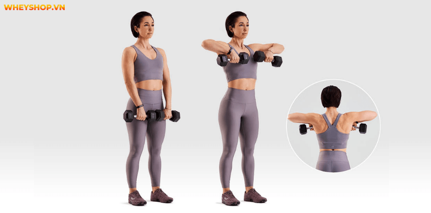 Cơ vai là một nhóm cơ lớn hàng đầu, thể hiện sự nam tính và thẩm mỹ của người tập gym. Cùng tìm hiểu 13 lưu ý tập vai rộng giúp bạn sở hữu bờ vai nở, săn chắc