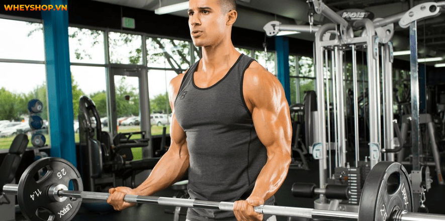 Cơ vai là một nhóm cơ lớn hàng đầu, thể hiện sự nam tính và thẩm mỹ của người tập gym. Cùng tìm hiểu 13 lưu ý tập vai rộng giúp bạn sở hữu bờ vai nở, săn chắc