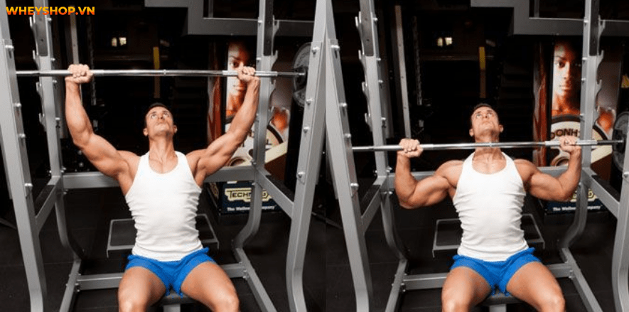 Cơ vai là một nhóm cơ lớn hàng đầu, thể hiện sự nam tính và thẩm mỹ của người tập gym. Cùng tìm hiểu 13 lưu ý tập vai rộng giúp bạn sở hữu bờ vai nở, săn chắc