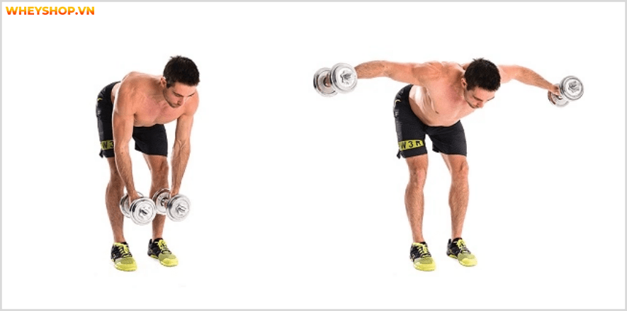 Cơ vai là một nhóm cơ lớn hàng đầu, thể hiện sự nam tính và thẩm mỹ của người tập gym. Cùng tìm hiểu 13 lưu ý tập vai rộng giúp bạn sở hữu bờ vai nở, săn chắc